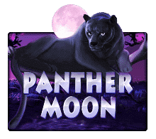 เว็บ สล็อต xo Panther Moon slot1234 slotxo