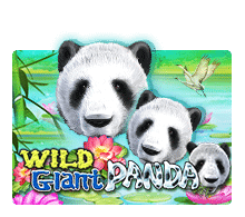 slotxo888 Wild Giant Panda slotxo168