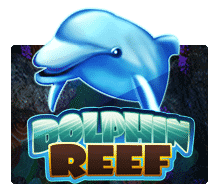 slotxo joker Dolphin Reef slotxo 311