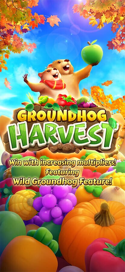 Groundhog Harvest PG Slot สล็อต PG พีจีสล็อต