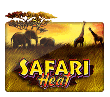 slotxo วอ เลท Safari Heat เกม สล็อต xo