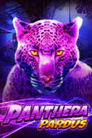 Panthera Pardus live22 demo