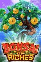 Bonsai of Riches Slot live22