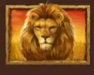 Great Lion (สิงโตผู้ยิ่งใหญ่) เกมสล็อตออนไลน์ ASKMEBET AMB SLOT