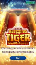Blessing Of The Tiger เกมสล็อตออนไลน์จาก AMB Slot เล่นได้ที่ amb เครดิตฟรี