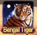 Bengal Tiger (เทพพยัคฆ์อินเดีย) Ask Me Bet สมัคร AMBBET