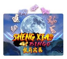 Sheng Xiao Bingo Slotxo เว็บ AMBBET